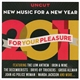 Various - 2011 For Your Pleasure (New Music For A New Year)